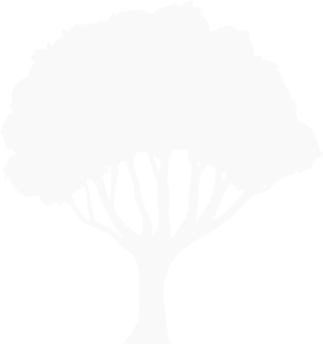 logo arbre abcsr